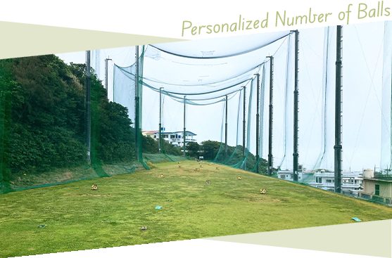 Personalized Number of Balls